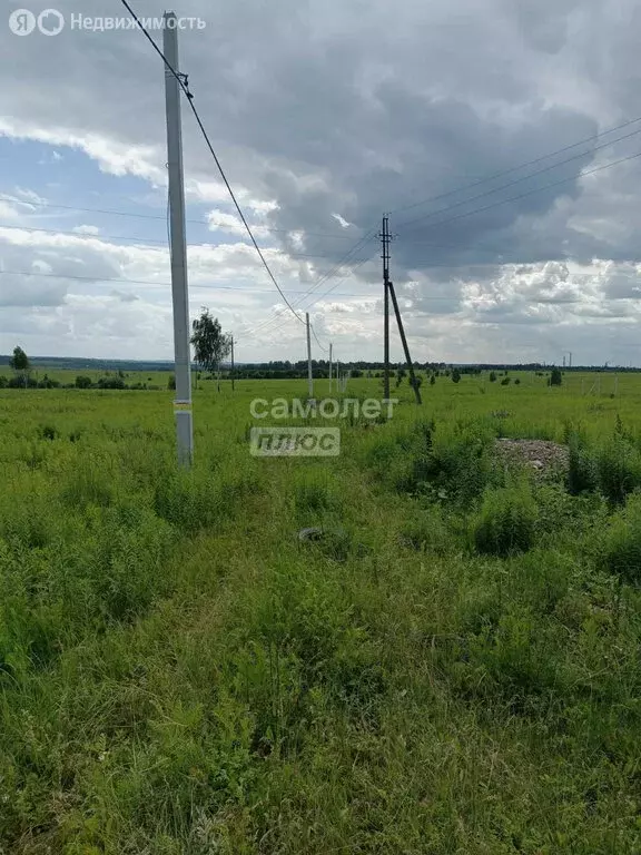 Участок в Плавский район, сельское поселение Пригородное, село Частое ... - Фото 1