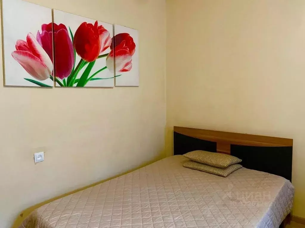 1-к кв. Забайкальский край, Чита Красноармейская ул., 14 (47.0 м) - Фото 2