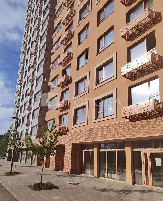 3-к кв. Алтайский край, Барнаул городской округ, Южный рп тракт Южный, ... - Фото 0