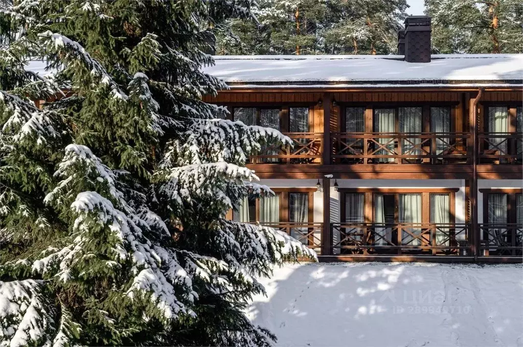 Комната Ленинградская область, Всеволожский район, Бугровское ... - Фото 1