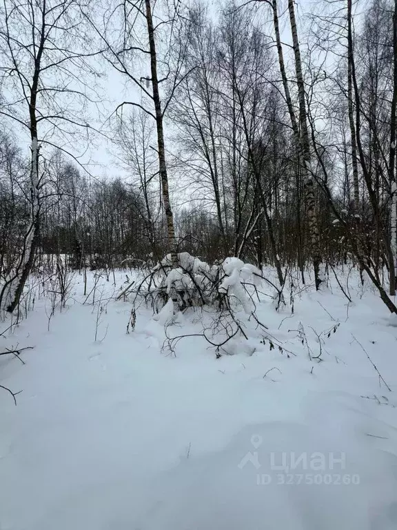 Участок в Московская область, Можайский муниципальный округ, д. ... - Фото 1