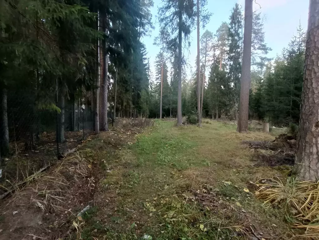 Участок в Ленинградская область, Гатчинский район, Вырица городской ... - Фото 0