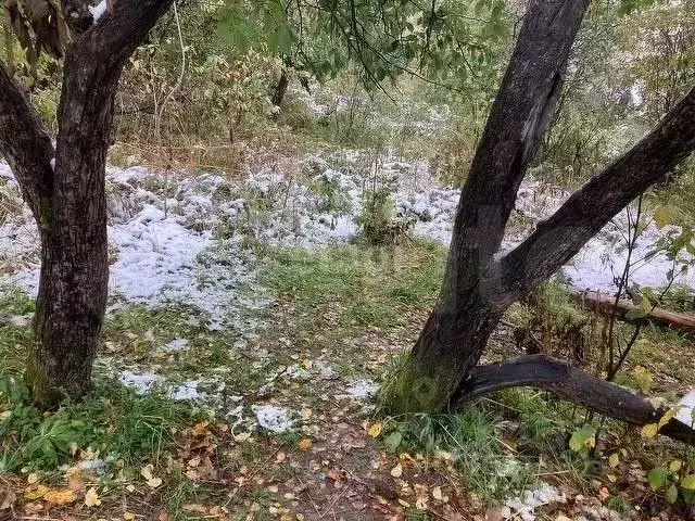 участок в кемеровская область, таштагольский район, шерегешское . - Фото 0