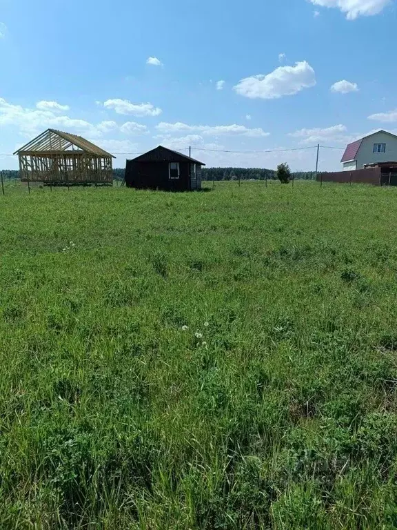 Участок в Московская область, Богородский городской округ, д. Черново ... - Фото 1