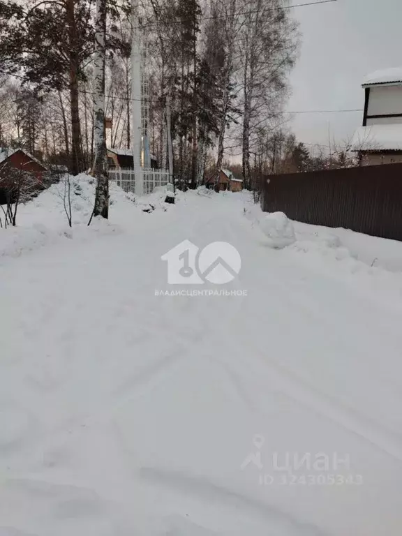 Участок в Новосибирская область, Новосибирск Сибиряк СНТ, ул. Лесная ... - Фото 2