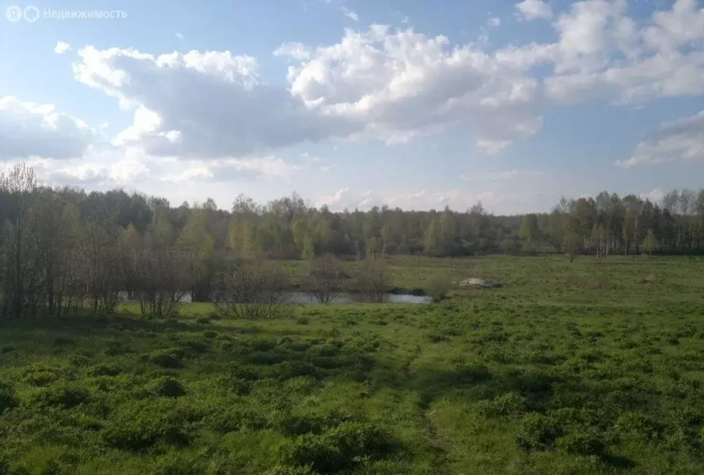 Участок в Калининградская область, Зеленоградский муниципальный округ, ... - Фото 0