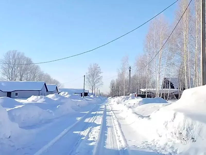 Участок в Новосибирская область, Новосибирский район, Станционный ... - Фото 2