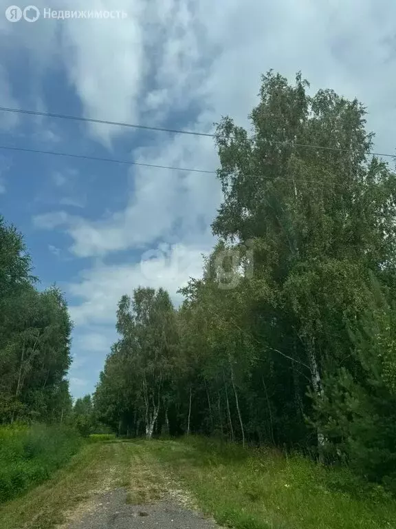 Участок в Нижегородская область, Городецкий муниципальный округ, ... - Фото 1