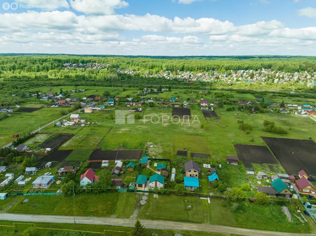 Участок в Тогучинский район, Репьевский сельсовет, село Репьёво (10 м) - Фото 1