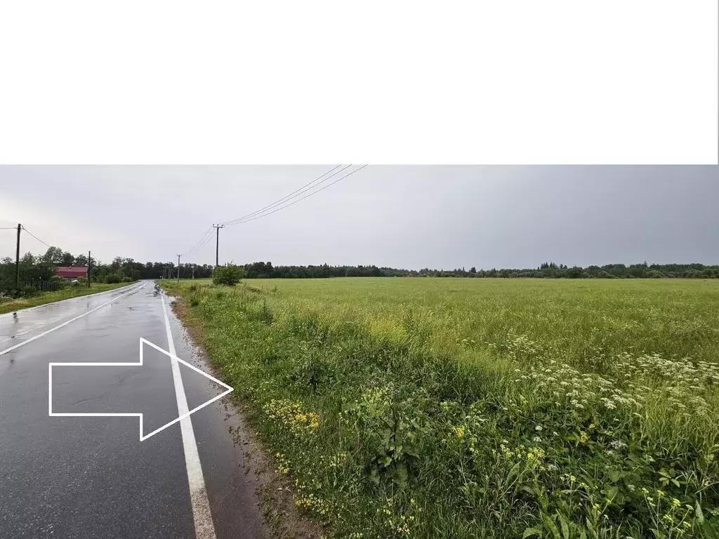 Участок в Ленинградская область, Волосовский район, Большеврудское ... - Фото 1