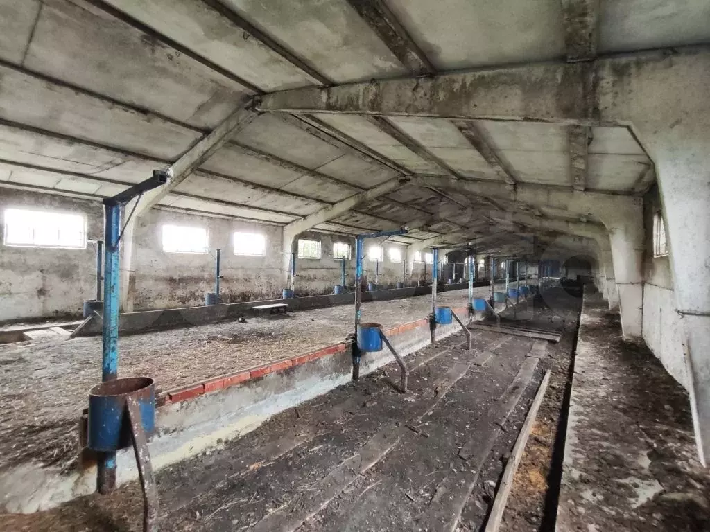 Свободного назначения, 880 м - Фото 1