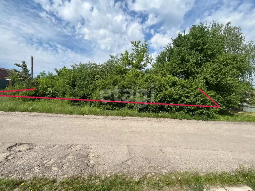Участок в Белгородская область, Яковлевский муниципальный округ, с. ... - Фото 1