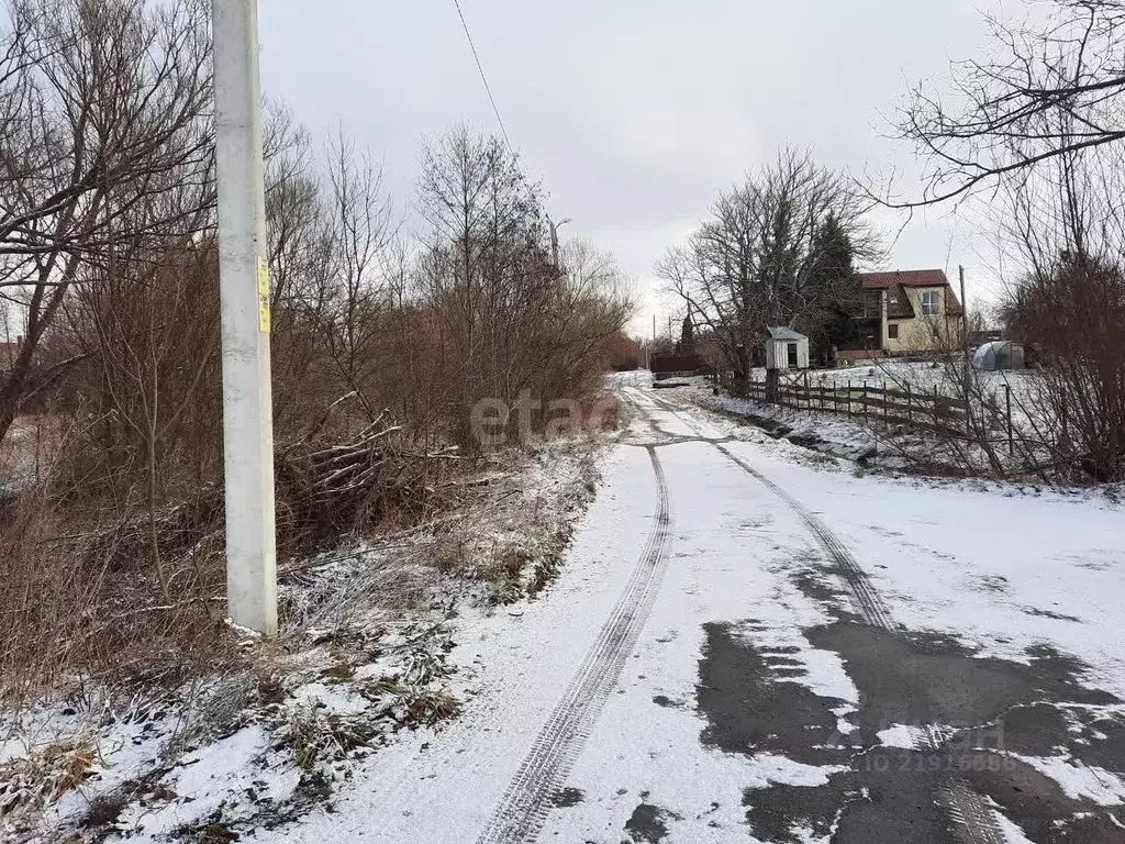 Участок в Калининградская область, Гурьевский муниципальный округ, ... - Фото 0