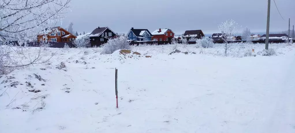 Участок в Нижегородская область, Кстовский муниципальный округ, с. ... - Фото 0