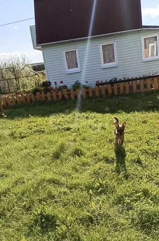 Дом в Ярославская область, Ярославль Текстильщик-2 садовое ... - Фото 1