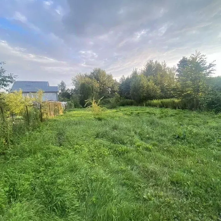 Участок в Калининградская область, Калининград Радуга СНТ, проезд ... - Фото 2