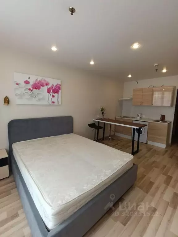 Студия Санкт-Петербург ул. Хошимина, 16А (26.0 м) - Фото 0