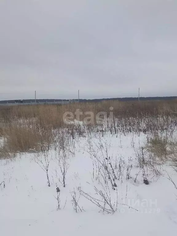 Участок в Белгородская область, Белгородский район, с. Стрелецкое ул. ... - Фото 1