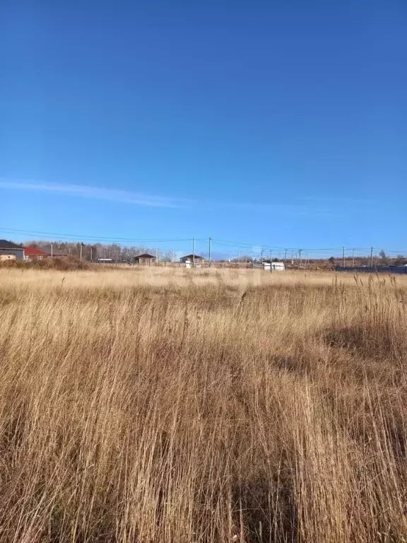 Участок в Амурская область, Благовещенский район, пос. Вадимово  (10.0 ... - Фото 1