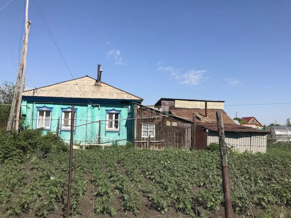 Купить Дом В Курганской Области Село Пичугино