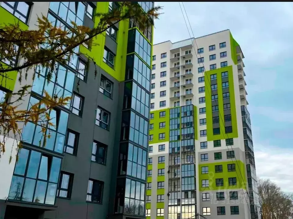 Студия Новосибирская область, Новосибирский район, Мочищенский ... - Фото 2