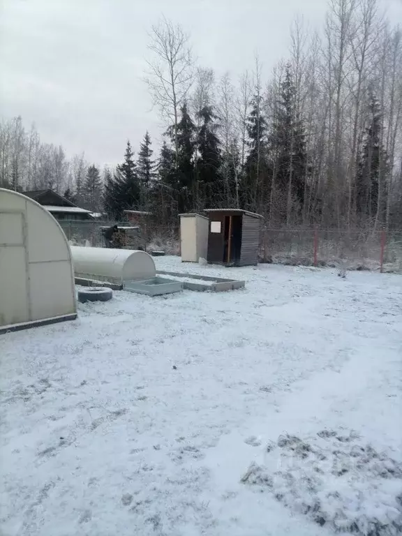 Участок в Ленинградская область, Тосненский район, Трубникоборское ... - Фото 2