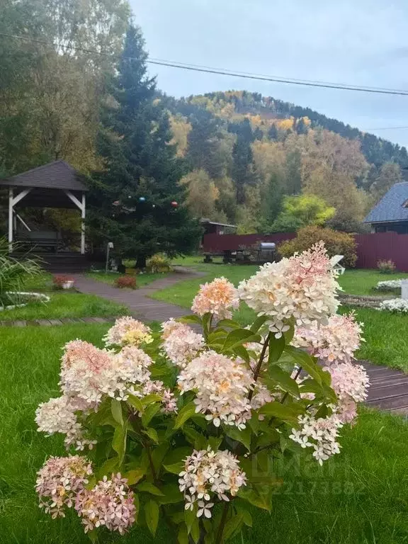 Дом в Иркутская область, Иркутский муниципальный округ, Листвянка рп ... - Фото 2
