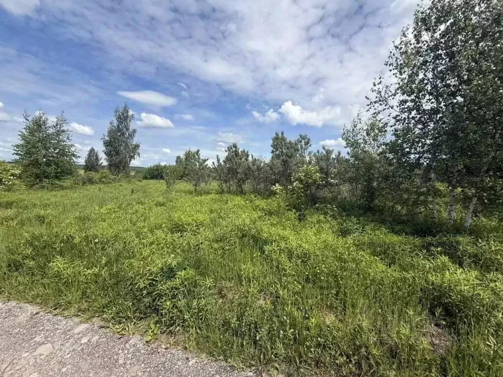 Участок в Тульская область, Тула городской округ, д. Бежка 18 (10.0 ... - Фото 2