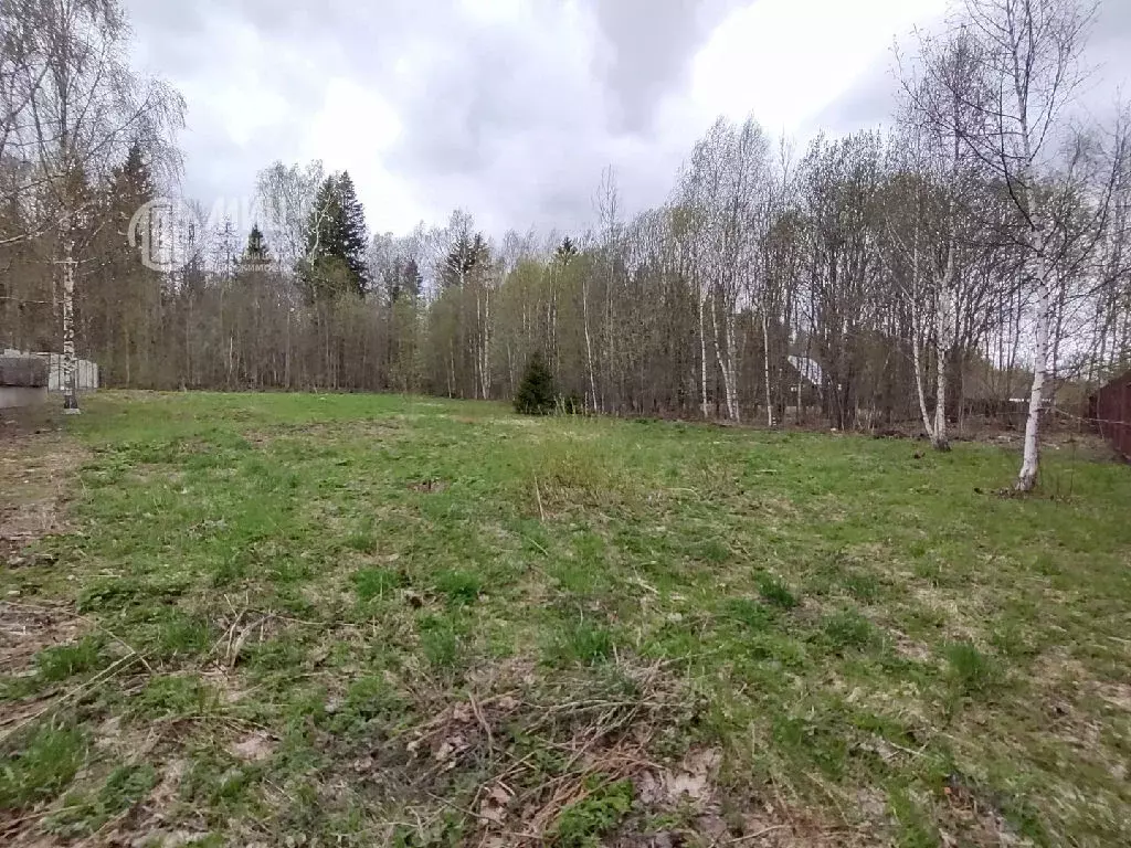 Продается участок в СНТ Роса - Фото 1