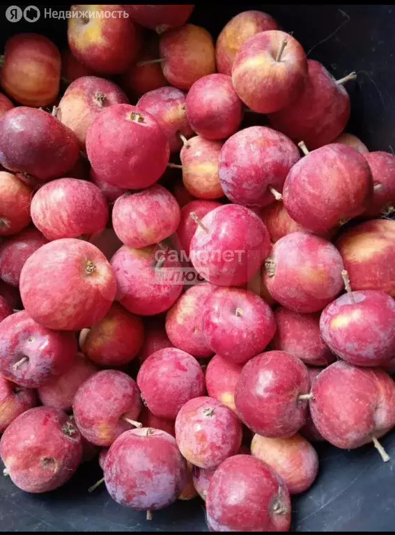 Участок в Свердловская область, Каменский муниципальный округ, посёлок ... - Фото 2