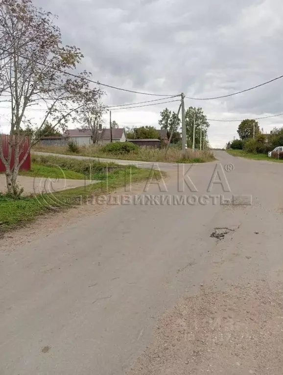 Участок в Ленинградская область, Кингисеппский район, Котельское ... - Фото 2