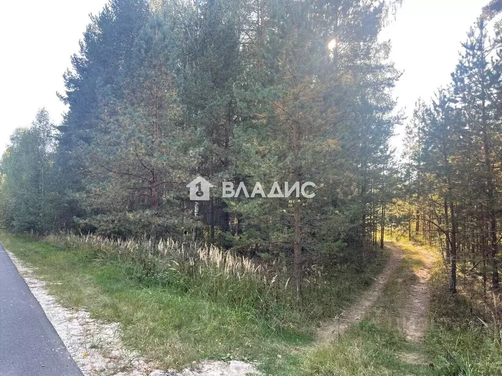 Участок в Владимирская область, Судогодский район, Лавровское ... - Фото 1