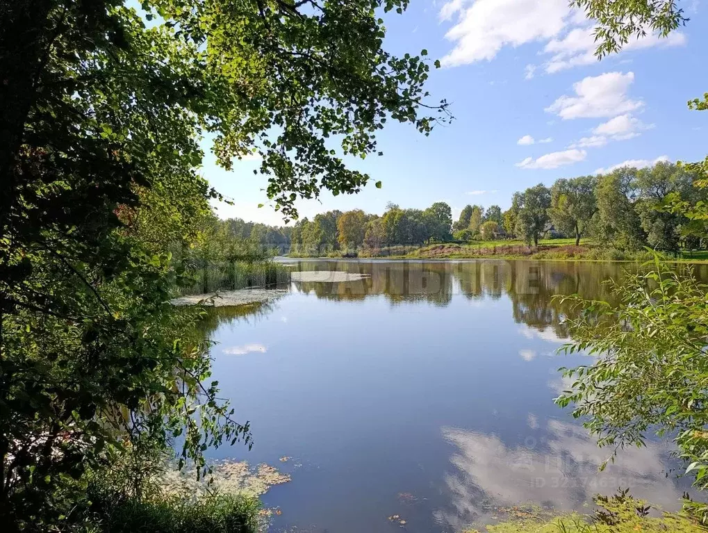 Дом в Смоленская область, Смоленский муниципальный округ, д. Рай ул. ... - Фото 2