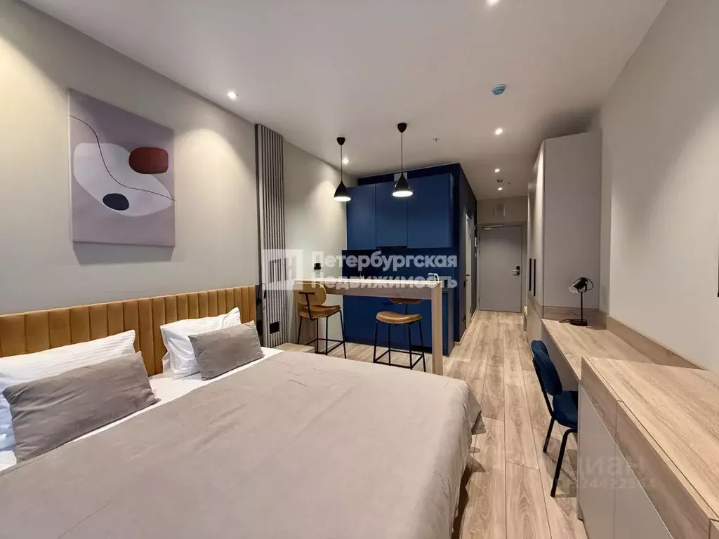 Студия Санкт-Петербург просп. Энергетиков, 8к2 (26.6 м) - Фото 1