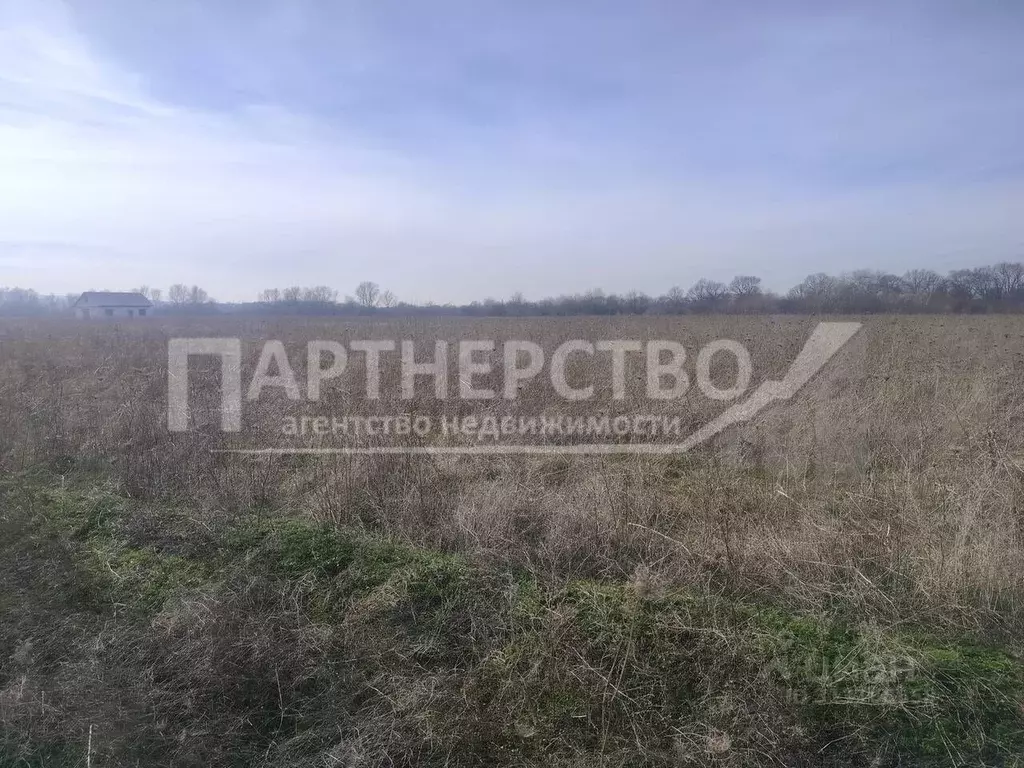 Участок в Краснодарский край, Северский район, Ильское городское ... - Фото 0