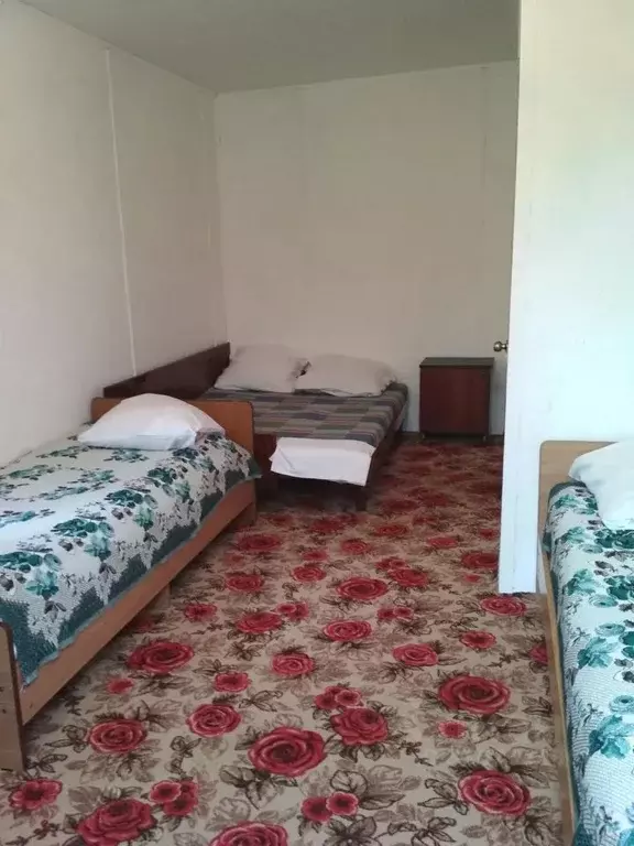 Комната Краснодарский край, Сочи пос. Лоо, ул. Весенняя, 25 (15.0 м) - Фото 1