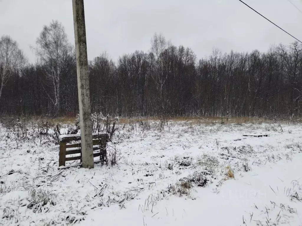 Участок в Башкортостан, Иглинский район, Балтийский сельсовет, ... - Фото 1