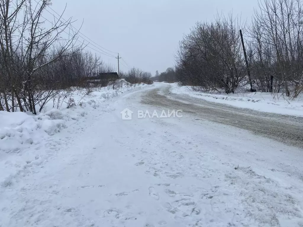 Участок в Алтайский край, Красногорский район, с. Березовка ул. ... - Фото 0