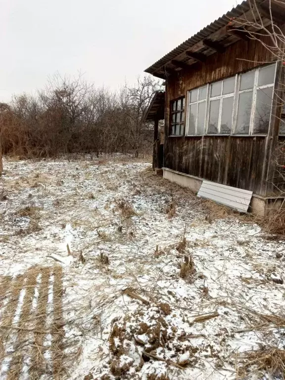 Участок в Московская область, Подольск городской округ, Василек СНТ 95 ... - Фото 2