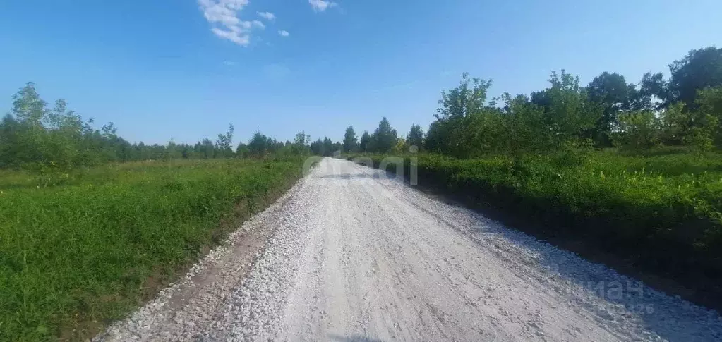 Участок в Новосибирская область, Бердск  (12.0 сот.) - Фото 1