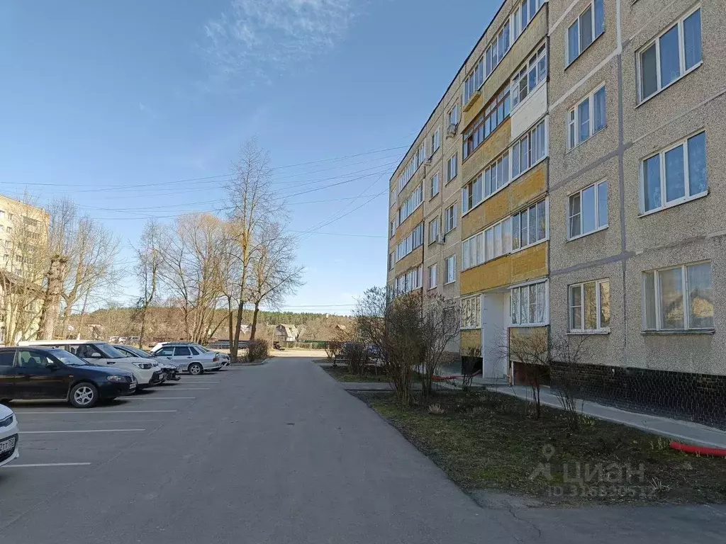 2-к кв. Московская область, Воскресенск ул. Мичурина, 11 (53.2 м) - Фото 1