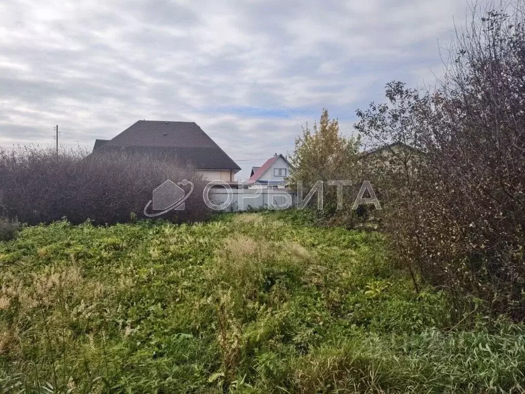 Участок в Тюменская область, Тюмень Колос-4 садовое товарищество, ул. ... - Фото 1