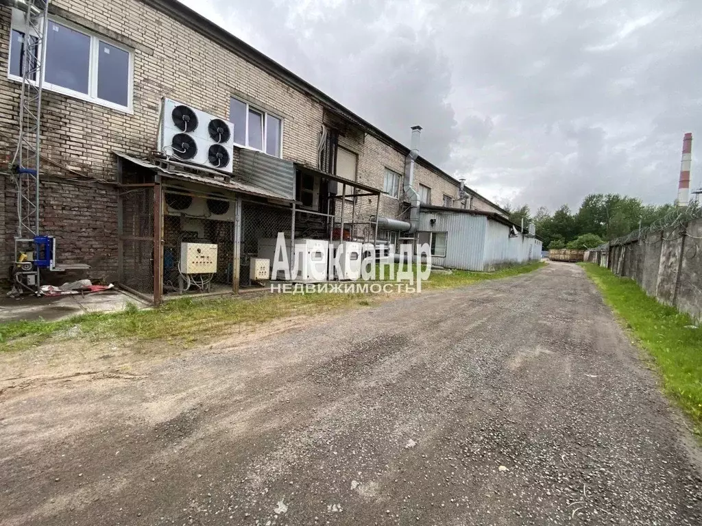 Производственное помещение в Ленинградская область, Всеволожский ... - Фото 1