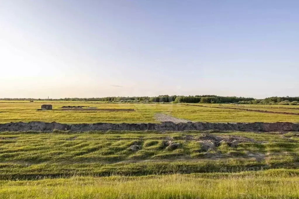 Участок в Тюменская область, Тюменский муниципальный округ, д. ... - Фото 1