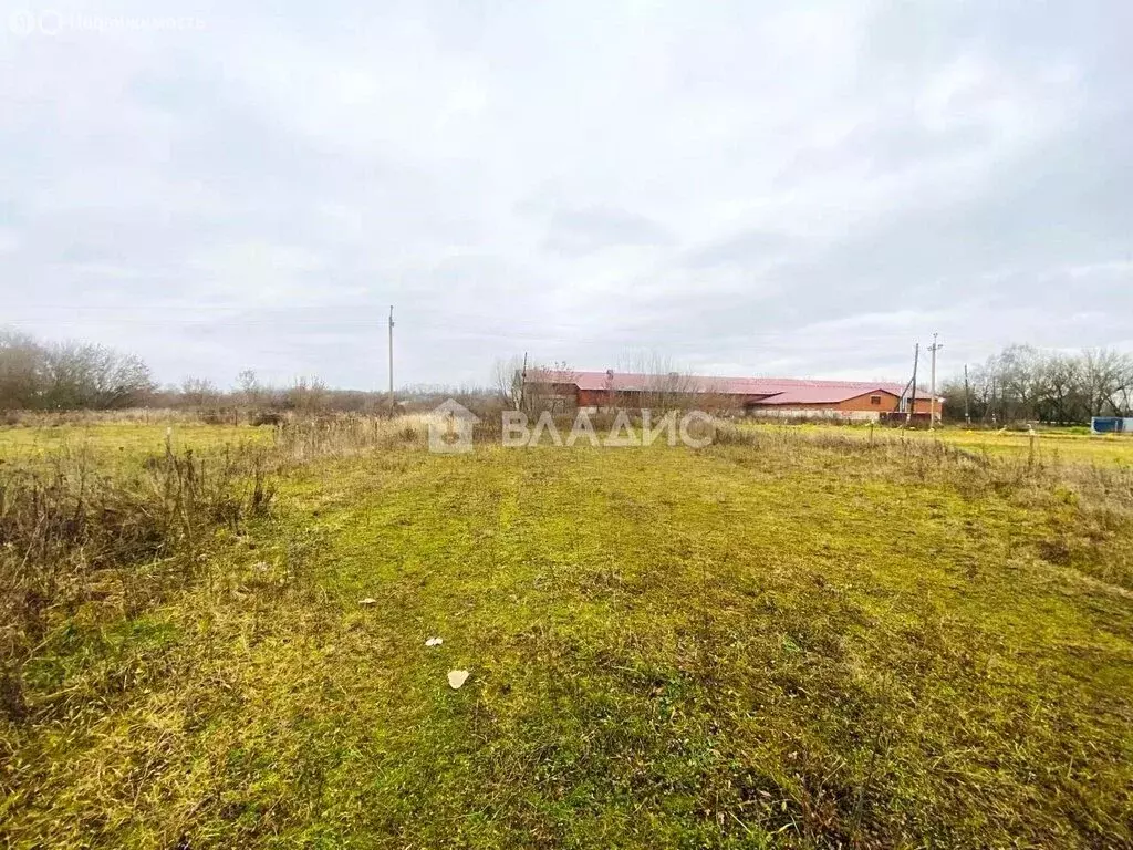 Участок в Суздальский район, муниципальное образование Селецкое, село ... - Фото 1