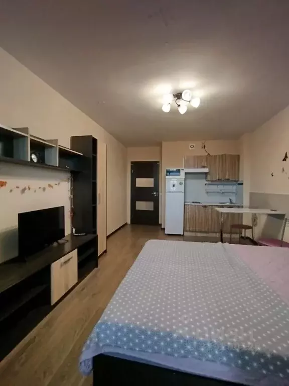 Студия Санкт-Петербург просп. Энергетиков, 11к5 (27.0 м) - Фото 2