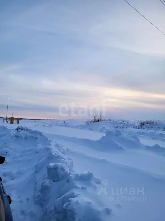 Участок в Пензенская область, с. Бессоновка ул. Коммунистическая (10.0 ... - Фото 0