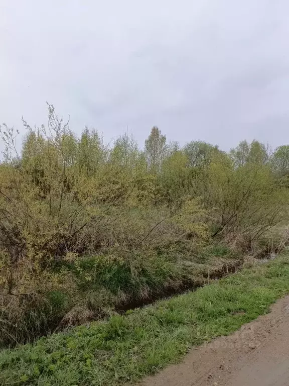 Участок в Московская область, Талдомский городской округ, д. ... - Фото 1