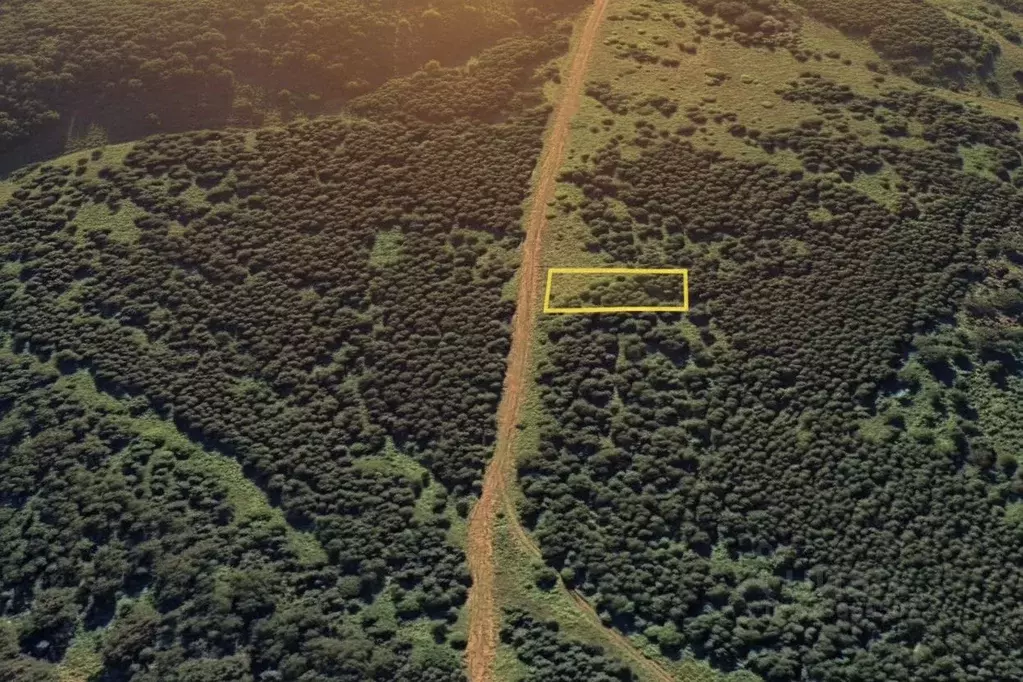 Участок в Алтай, Турочакский район, с. Каначак  (12.24 сот.) - Фото 2