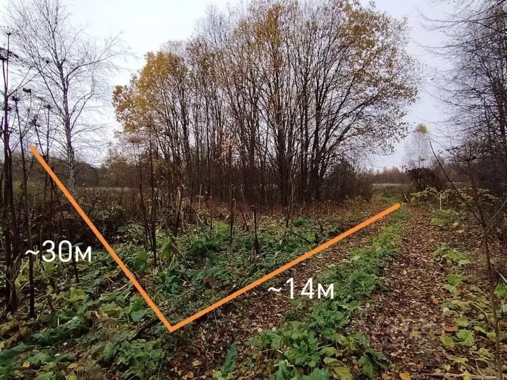 Участок в Тверская область, Старицкий муниципальный округ, д. Борисово ... - Фото 1